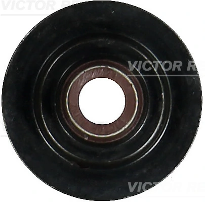 Seal Ring, valve stem